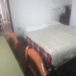 The Cat\'S Rooms