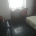 The Cat\'S Rooms